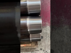 강아지 관절 핀 x 핀